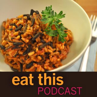 Cover artwork; a bowl of reddish rice, possibly with tomato, scatterd with a few darker black soldier fly larvae and a green parley or coriander leaf.