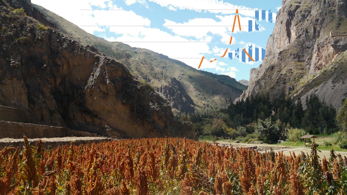 Quinoa growing in the foreground with steep mountains behind. In the sky above the valley is a graph of the price of quinoa